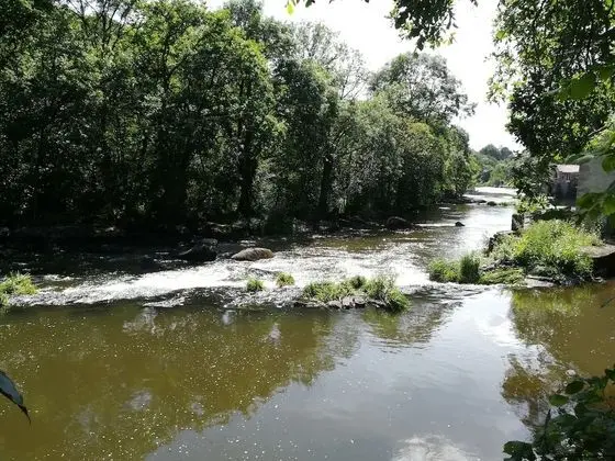 Tek Büyük Yataklı Oda (Moulin)