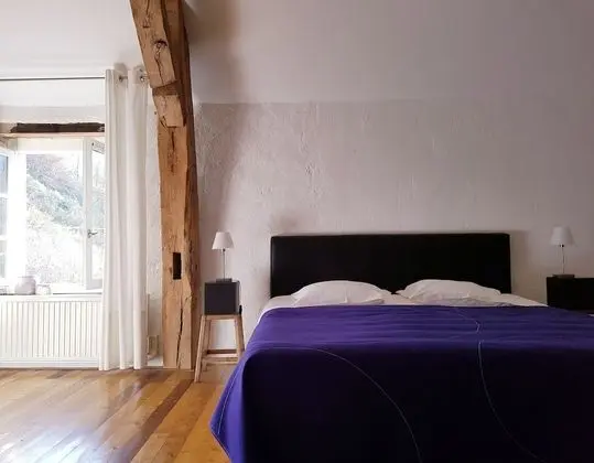Tek Büyük Yataklı Oda, Havuz Manzaralı (Rolin)