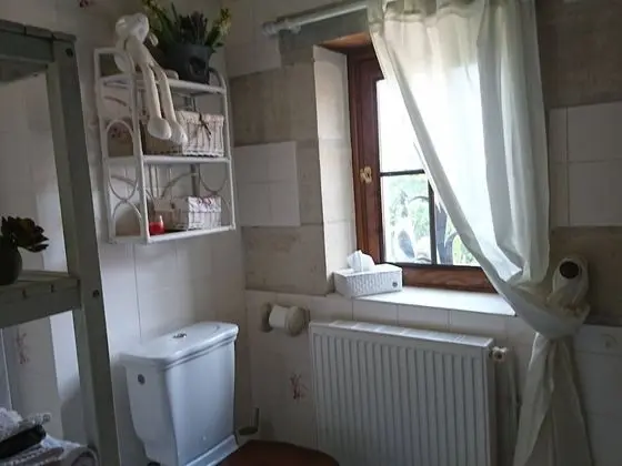 Tek Büyük Yataklı Oda, Banyolu/Duşlu, Bahçe Manzaralı