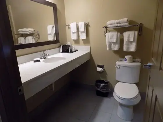Deluxe Tek Kişilik Oda, 1 En Büyük (King) Boy Yatak, Mutfak