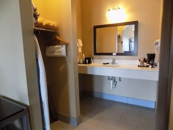 Standard Tek Kişilik Oda, 1 En Büyük (King) Boy Yatak