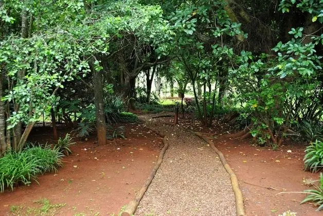 Comfort İki Ayrı Yataklı Oda, 1 Tek Kişilik Yatak