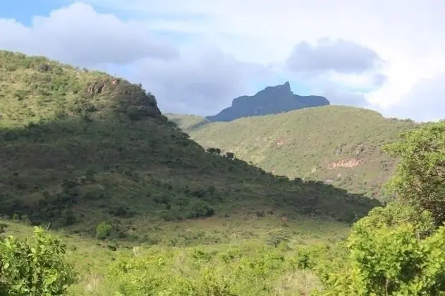 Deluxe Tek Büyük Yataklı Oda, Dağ Manzaralı