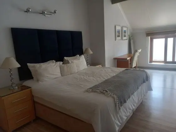 Mount Royal 32 Large 1 Bed