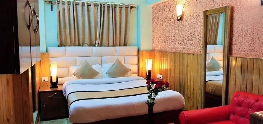 Deluxe Tek Büyük Yataklı Oda, 1 Büyük (Queen) Boy Yatak ve Çekyat, Şehir Manzaralı