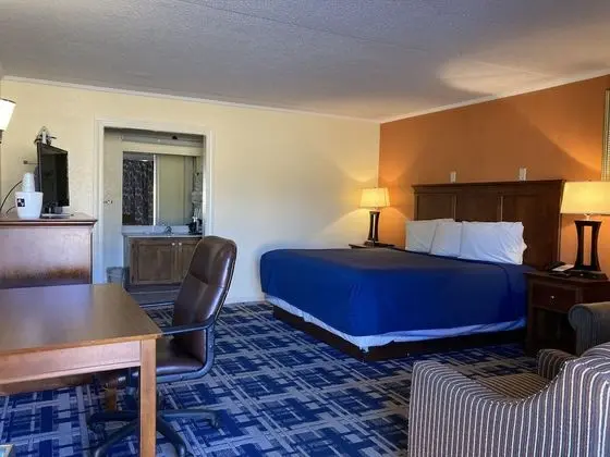 Deluxe Oda, 1 En Büyük (King) Boy Yatak, Sigara İçilmez