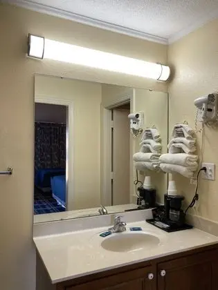 Deluxe Oda, 1 En Büyük (King) Boy Yatak, Sigara İçilmez