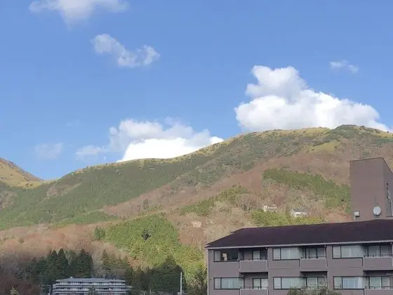 Tek Kişilik Oda (Japanese Western Style)
