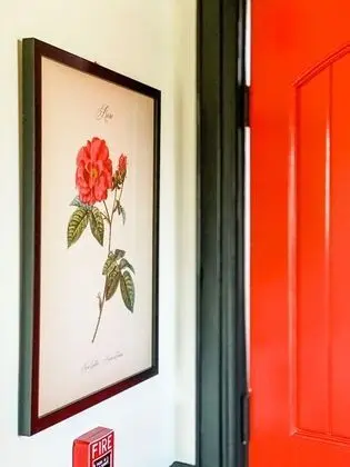 Tek Büyük Yataklı Oda, Banyolu/Duşlu (Private Cabin w/ Pullout)