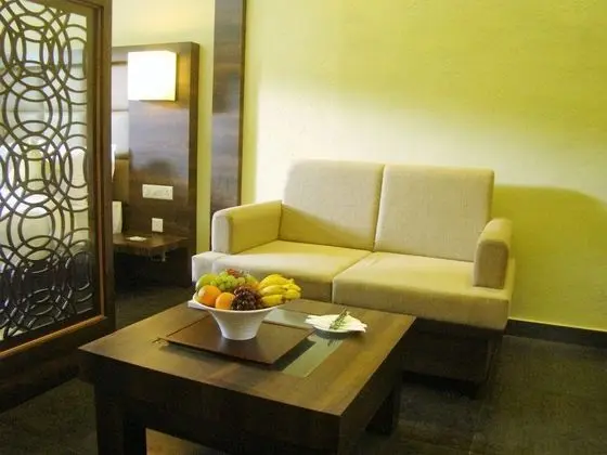Premium Stüdyo, 1 En Büyük (King) Boy Yatak, Balkon, Dağ Manzaralı