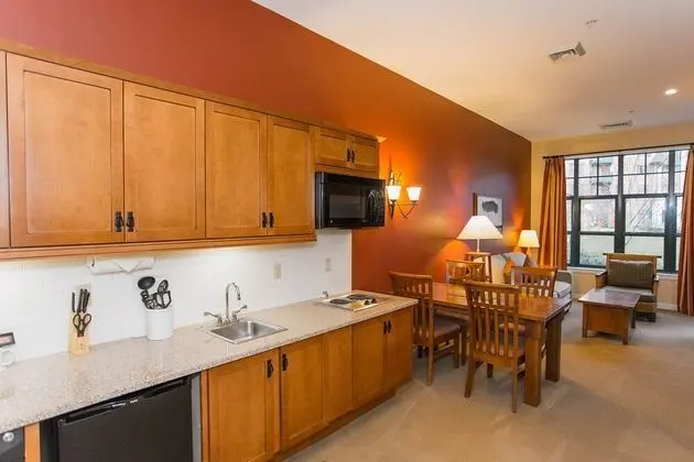 One Bedroom Mountain View
