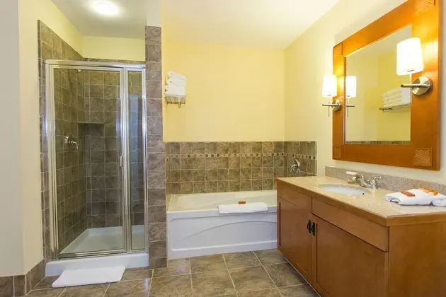 One Bedroom Mountain View