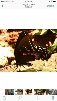 Basic Tek Kişilik Oda, 1 Tek Kişilik Yatak, Sigara İçilebilir, Göl Manzaralı