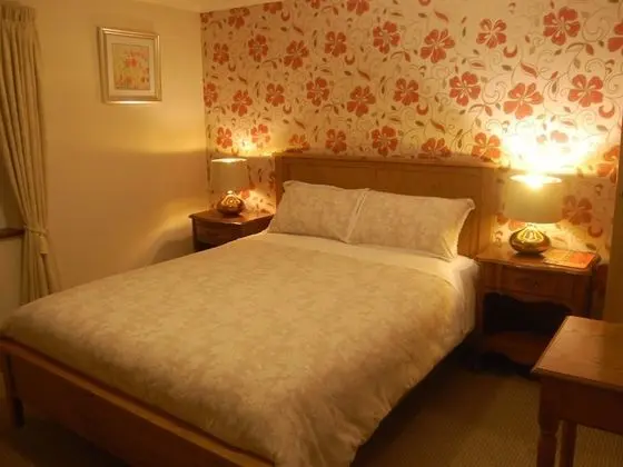 Tek Büyük Yataklı Oda, Banyolu/Duşlu (Shower)