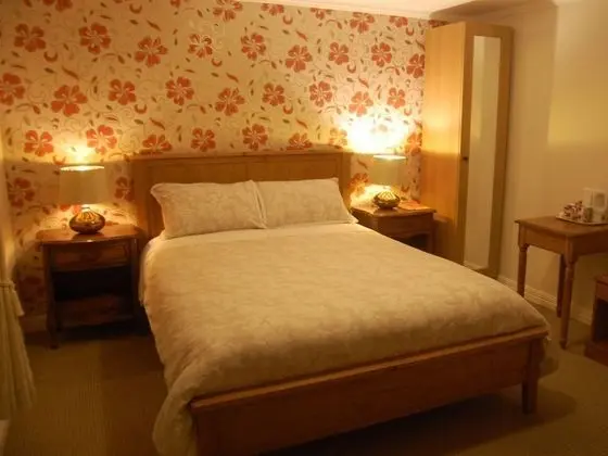 Tek Büyük Yataklı Oda, Banyolu/Duşlu (Shower)