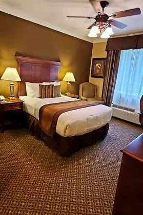 Deluxe Oda, 1 Çift Kişilik Yatak