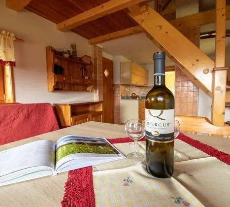 Family Dağ Evi, Birden Çok Yatak, Bahçeli (Mountain Lodge Pokrovec)