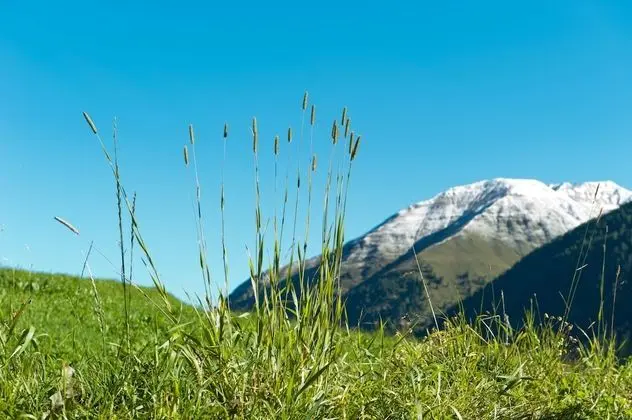 Superior Apart Daire, 1 Yatak Odası