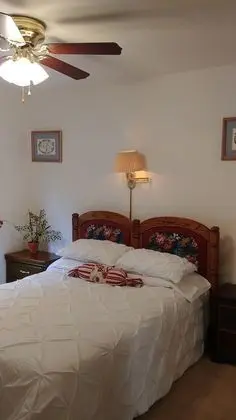 Deluxe Tek Kişilik Oda, 1 Çift Kişilik Yatak
