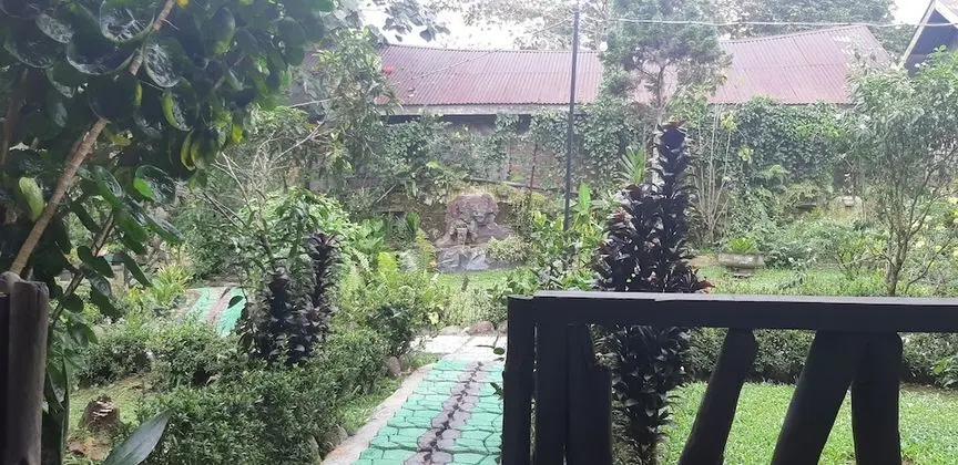 Deluxe Oda, 1 Yatak Odası, Bahçe Manzaralı