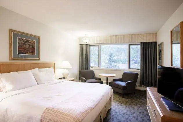 Standard King Room - Not Renovated and Not Pet Friendly