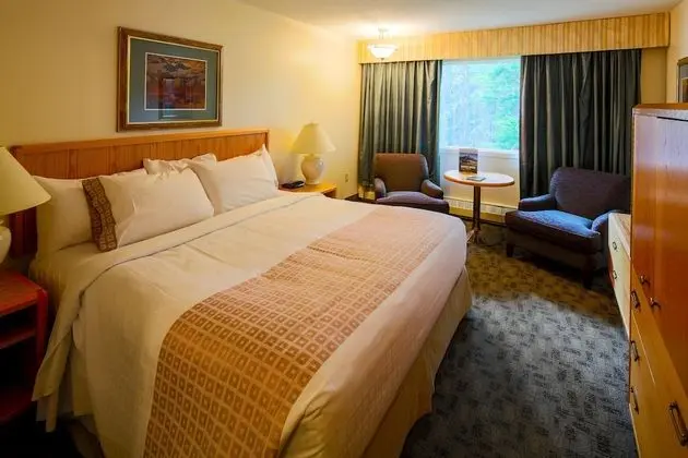Standard King Room - Not Renovated and Not Pet Friendly