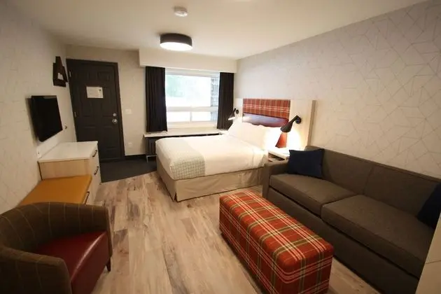 Standard Oda, 1 Büyük (Queen) Boy Yatak ve Çekyat, Zemin Kat (Pet Friendly)