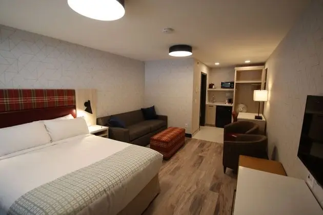 Standard Oda, 1 Büyük (Queen) Boy Yatak ve Çekyat, Zemin Kat (Pet Friendly)