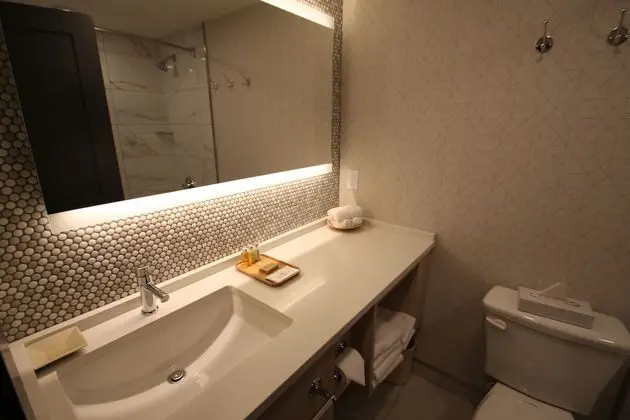 Standard Oda, 1 Büyük (Queen) Boy Yatak ve Çekyat, Zemin Kat (Pet Friendly)