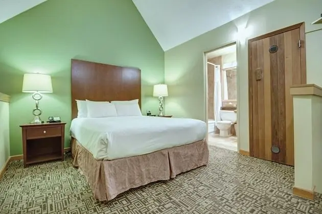 Çatı Katı (Loft)