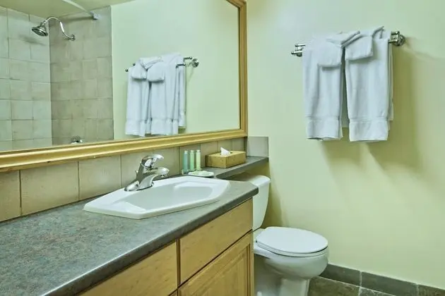 Çatı Katı (Loft)