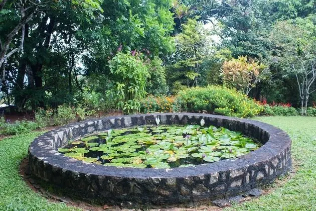 Luxury Süit, Sigara İçilmez, Dağ Manzaralı