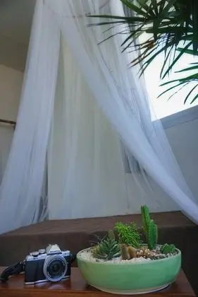 Deluxe Oda, Birden Çok Yatak, Sigara İçilmez, Şehir Manzaralı