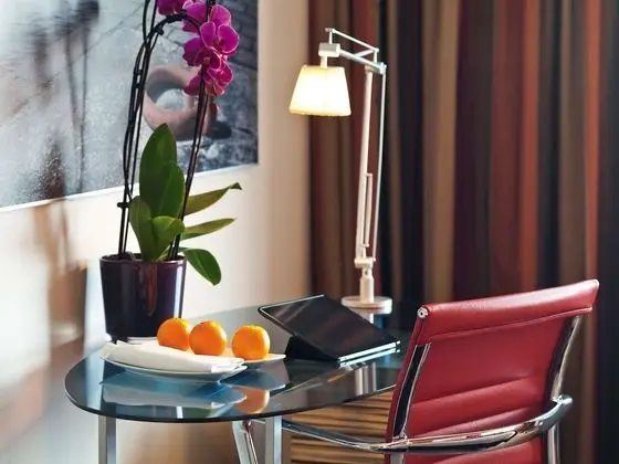 Executive Oda, 1 En Büyük (King) Boy Yatak, Manzaralı