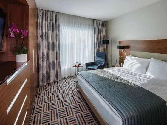 Deluxe Süit, 1 En Büyük (King) Boy Yatak