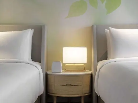 Deluxe İki Ayrı Yataklı Oda, 2 Tek Kişilik Yatak
