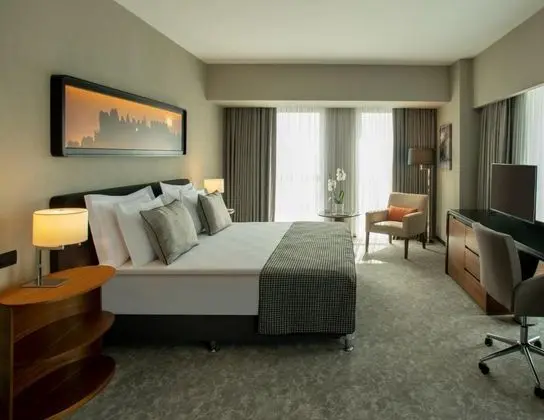 Deluxe Çift Kişilik Oda, Şehir Manzaralı