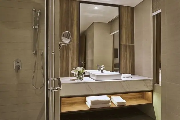 Studio Mountain View King Room with Balcony