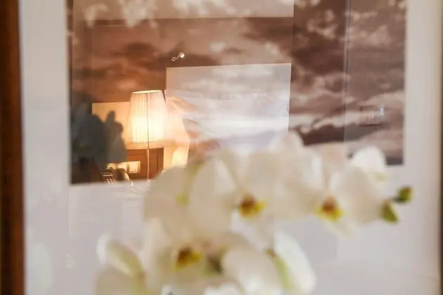 Deluxe İki Ayrı Yataklı Oda, Birden Çok Yatak