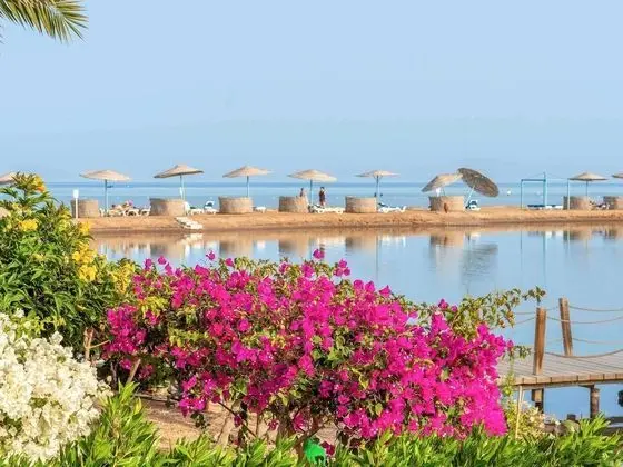 Deluxe Süit, 1 Çift Kişilik Yatak, Deniz Manzaralı