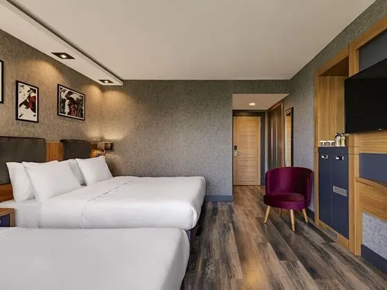 Deluxe Tek Büyük Yataklı Oda, 1 Çift Kişilik Yatak, Şehir Manzaralı