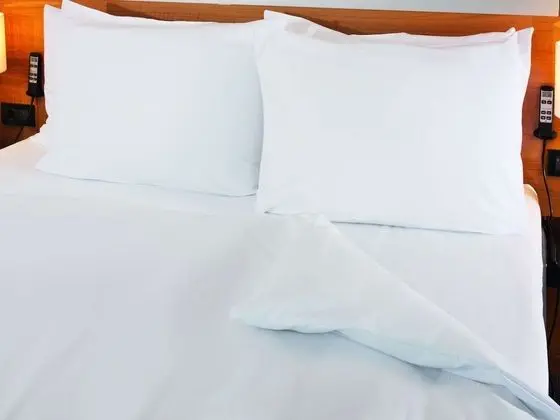 Premium Oda, 1 En Büyük (King) Boy Yatak