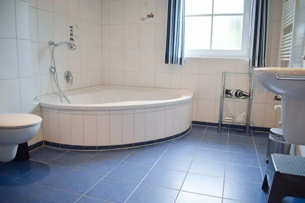 Apart Daire (Heringsmöwe)