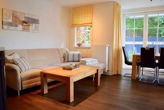 Apart Daire (Lachmöwe)