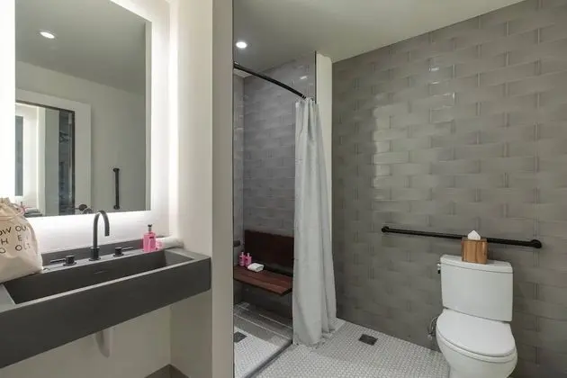 Oda, 1 Büyük (Queen) Boy Yatak (Mobility Accessible, Roll-In Shower)