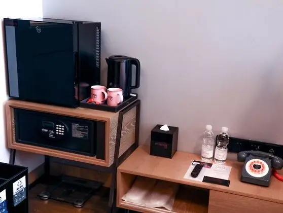 Standard Oda, 1 En Büyük (King) Boy Yatak, Sigara İçilmez, Şehir Manzaralı