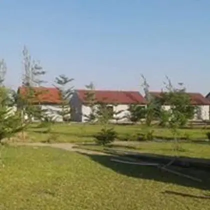 Executive Tek Büyük Yataklı Oda