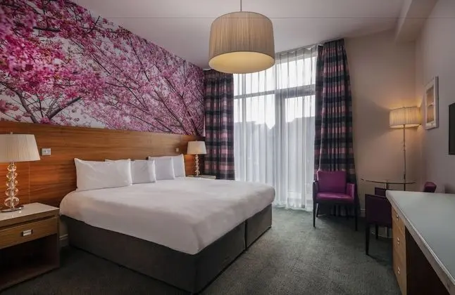 Deluxe Tek Büyük veya İki Ayrı Yataklı Oda