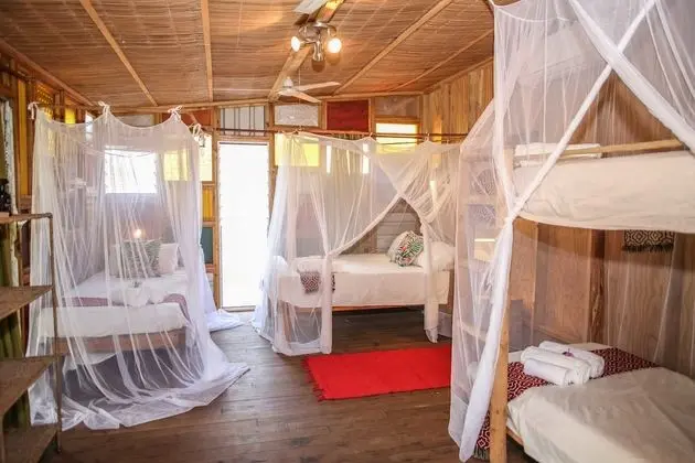 Private ensuite cabin "Daft Punk"