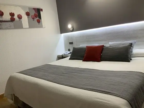 Standard Tek Büyük veya İki Ayrı Yataklı Oda, 1 Yatak Odası, Engellilere Uygun